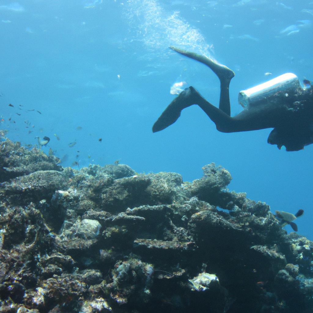 Person diving in coral reef